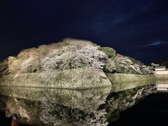 特別史跡彦根城跡の写真2