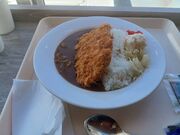 60代のスノーボードおじさんさんの立山黒部アルペンルートの投稿写真3