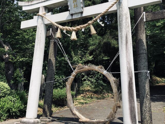 鳥居の輪をくぐって参拝しました。_新山神社