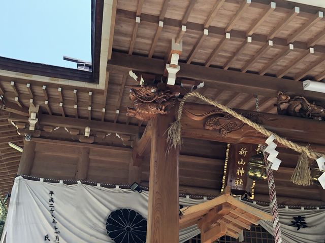 右柱の龍です。_新山神社
