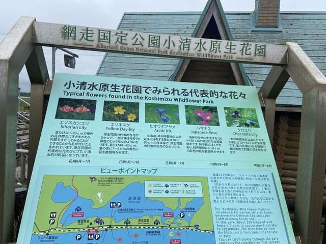 こことても綺麗でした。
是非、行ってみてください。_(個人)山本タクシー