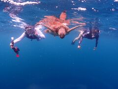 むっくさんのcalm石垣島への投稿写真2