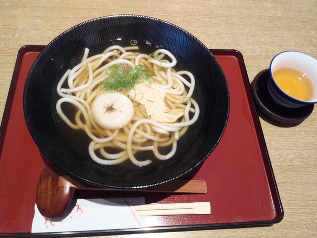 おもちとゆばの入ったうどん。熱いお茶も美味しかったです。_花ごころ