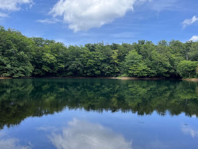 すりばち沼_升沢自然遊歩道