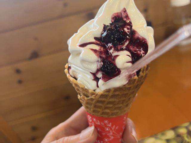 直営の農村カフェのソフトグリーム、めちゃくちゃ美味しかった。_白馬農場 ブルーベリー園