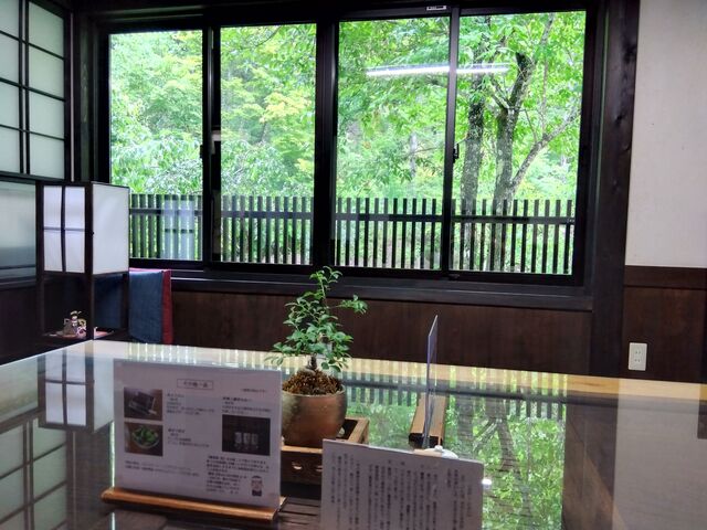 店内からの眺め_蕎麦屋 侍