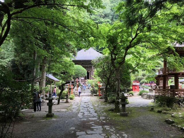 緑に包まれた本堂_柳津虚空蔵尊(宮城県)