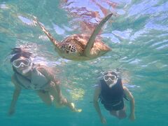 まるさんのOkinawa tripsへの投稿写真1