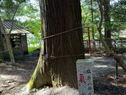 ヌケてるライダーさんの塩原八幡宮の投稿写真1