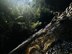 リバーベース塩瀬の写真2