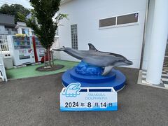 トーマスさんのイルカウォッチング受付予約センターへの投稿写真2