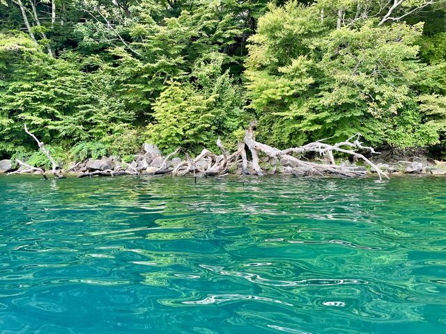 場所によっては水がこんなに綺麗です。_ボンファイア カヌー