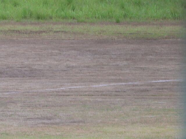 ゆかりんこさんのコロナ運動公園の投稿写真1