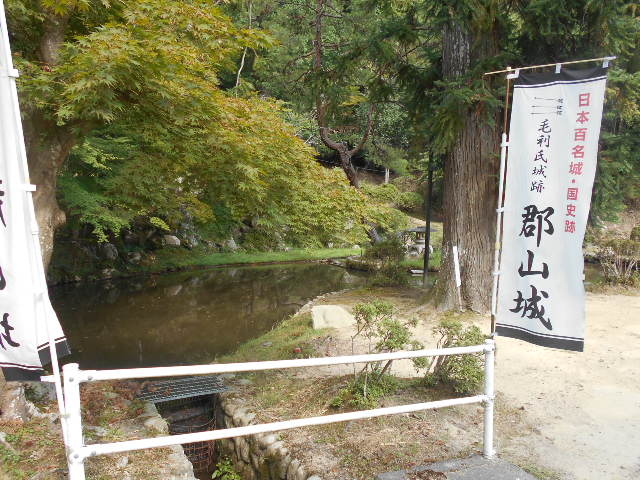 トシローさんの郡山公園の投稿写真1