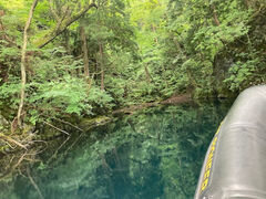 YOUさんのグリランドへの投稿写真1