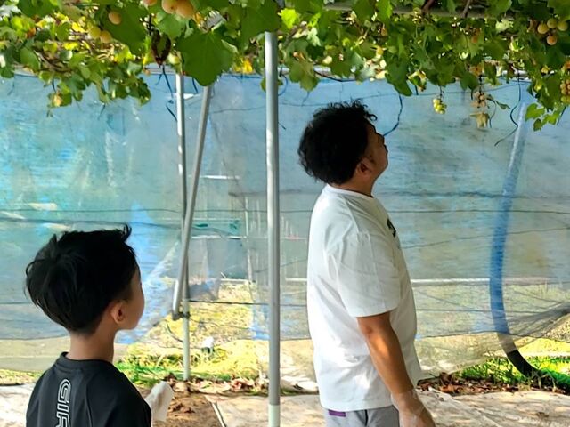 よーく選んで_佐久間利兵衛観光農園