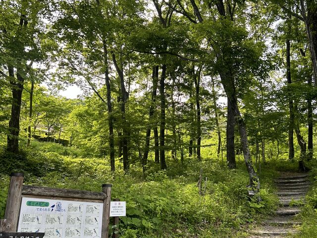 くりこさんのことりはうす(宮城県蔵王野鳥の森自然観察センター)の投稿写真2