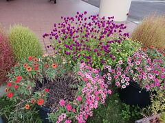 メディカルフィットネス+スパ ラ・ヴィータの写真1