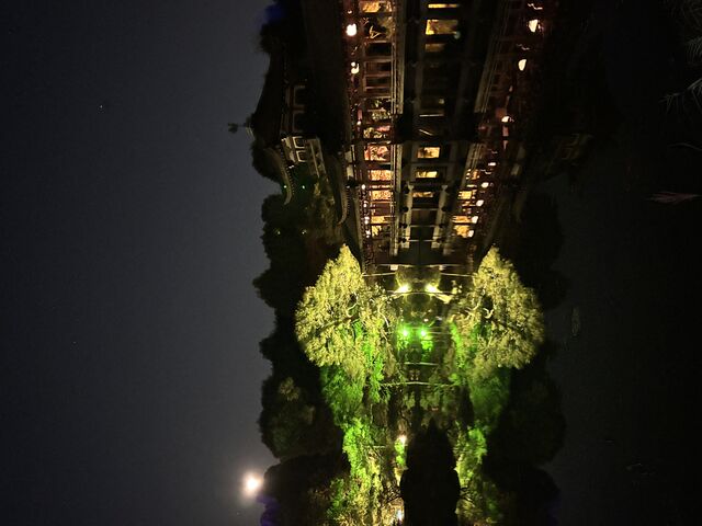 幻想的_NAKED光の神苑 平安神宮