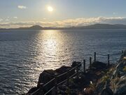 イワダイさんの広田崎の投稿写真1