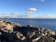 イワダイさんの広田崎の投稿写真2