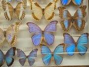 meさんのカメイ美術館の投稿写真1