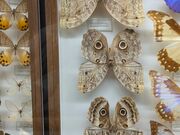 meさんのカメイ美術館の投稿写真2