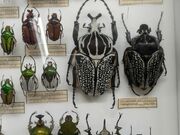 meさんのカメイ美術館の投稿写真3