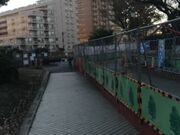 サンプルさんの横十間川親水公園の投稿写真2