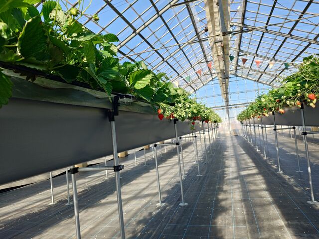 通路も広めの感じがしました_T-FARM 2号店