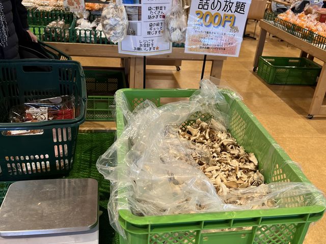 舞茸詰め放題!_札幌観光バス