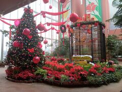 チューリップ四季彩館の写真1