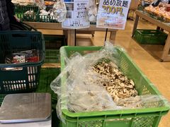 札幌観光バスの写真1