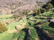 サクラサクさんの梨子ケ平遊歩道の投稿写真1