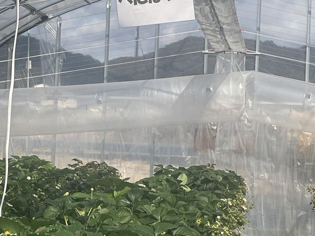 表示_にっしーFarm