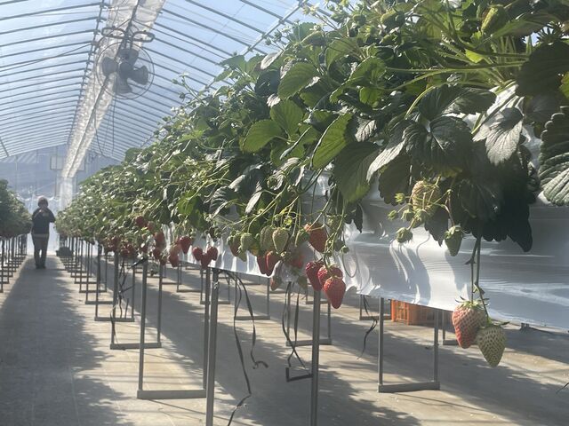 全体_にっしーFarm