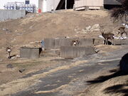 マイBOOさんの鹿山公園の投稿写真1