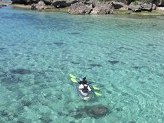 TAKEMANさんのN.Oceanへの投稿写真2