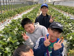 しまこさんのら・ぷら〜すへの投稿写真1