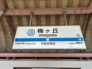 ひーちゃんさんの小田急電鉄梅ヶ丘駅の投稿写真1