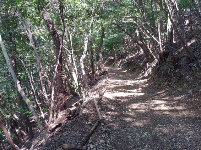 七曲がり登山道_岐阜城
