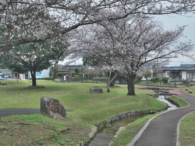 sklfhさんの前川水源(亀尾城址公園)の投稿写真1