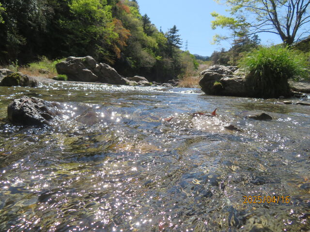 テラス下の川_野外テラス 水の音