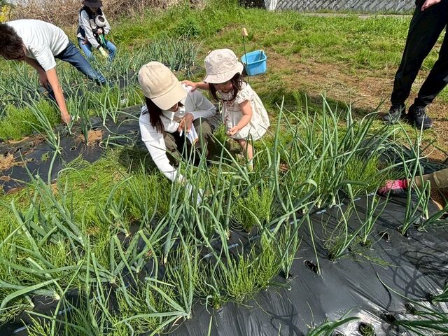 雑草抜き!_いかす平塚農場