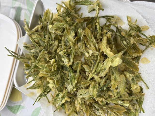 お茶の天ぷら、美味しくて何回もおかわりしました。
摘みたてでしか味わえないお茶の天ぷら大満足_開成MyTea