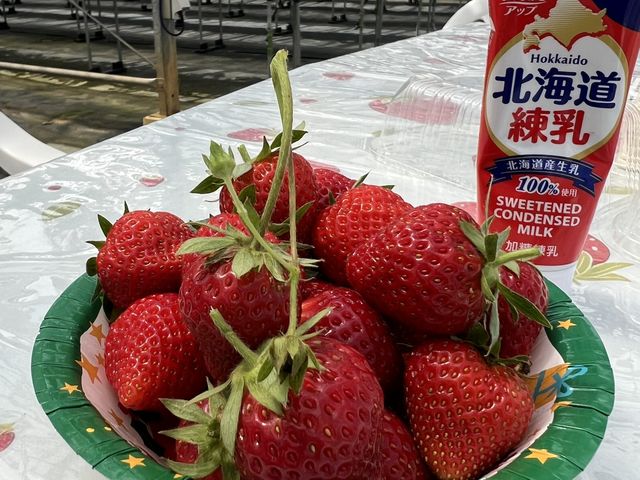 美味しかった!_なかま苺農園