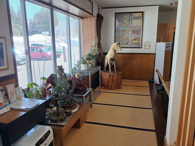 60代のスノーボードおじさんさんの土樽共同浴場「岩の湯」の投稿写真5