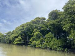 すぎさんのシーラバーズ沖縄への投稿写真1