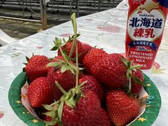 ゆめさんのなかま苺農園への投稿写真1