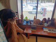 60代のスノーボードおじさんさんの土樽共同浴場「岩の湯」の投稿写真4